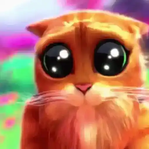 Gatos Engraçados — 1