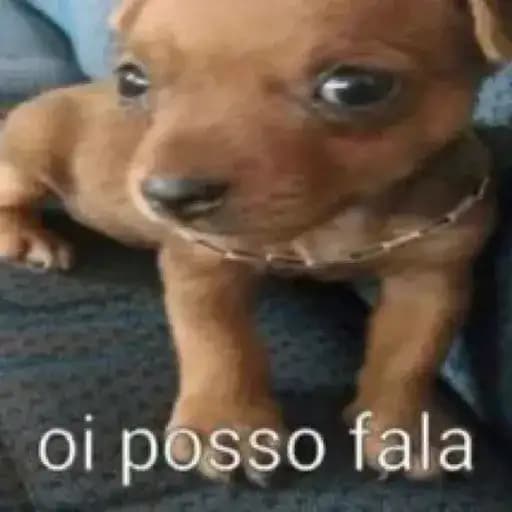 Perro Cachorro Tierno — 3