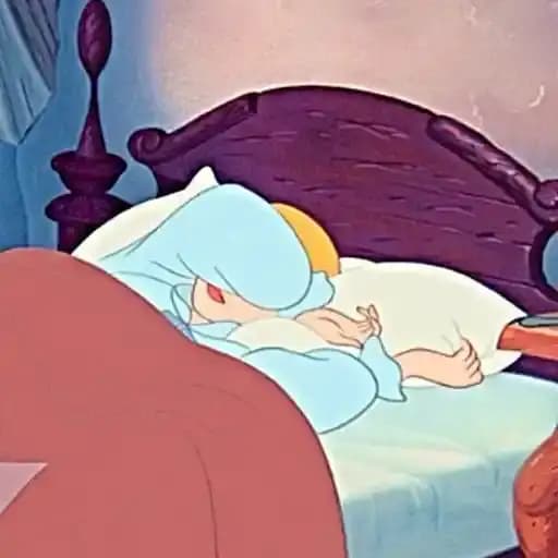 Princesas Durmiendo — 3