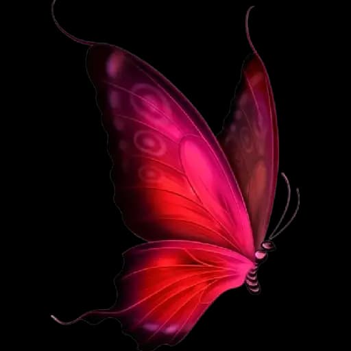Colorful Butterflies — 2