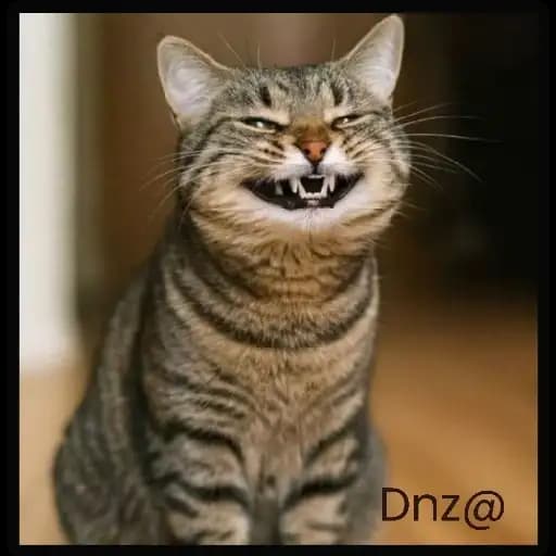 Gatos Fofos — 4
