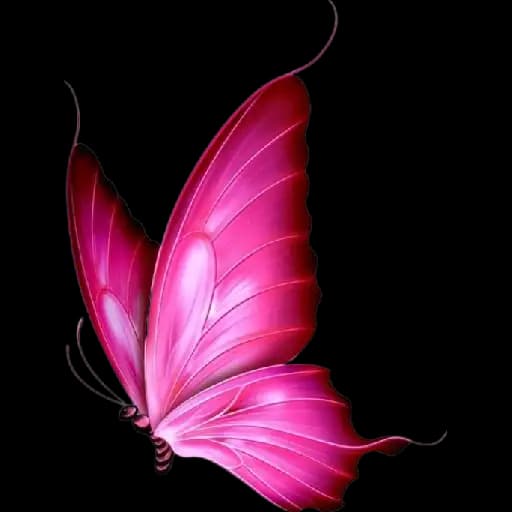 Colorful Butterflies — 1