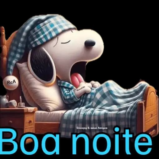Snoopy Boa Noite — 2