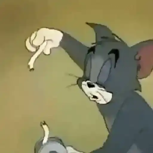 Tom e Jerry — 3