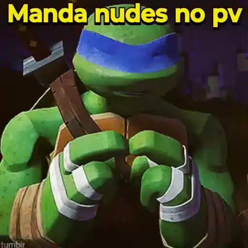 Tartarugas Ninja — 2