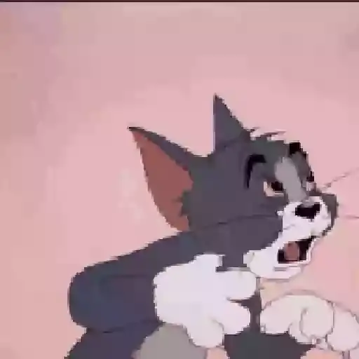 Tom and Jerry — 1