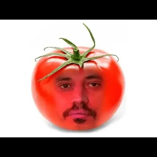 Tomates Sentientes — 4