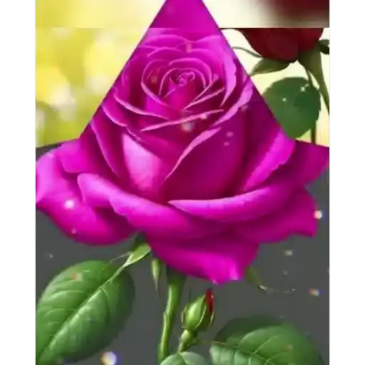 Romantic Roses — 2