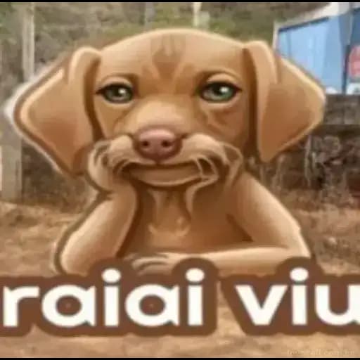 Cachorrinhos Engraçados — 2