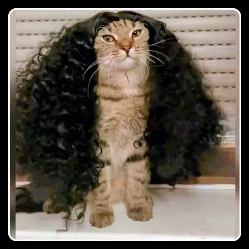 Gatos con Disfraces — 4