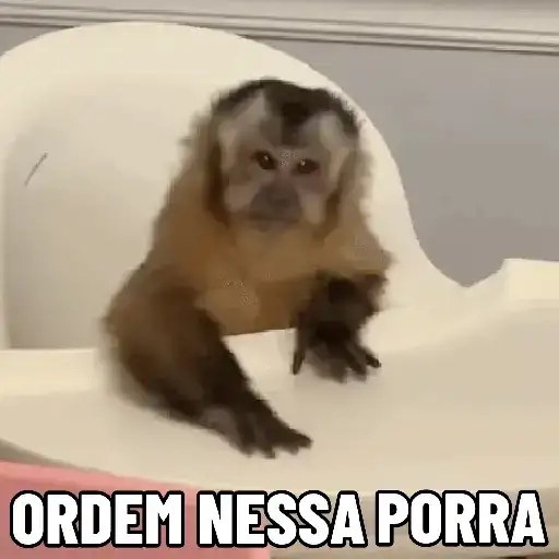 Macaco Exigente — 1