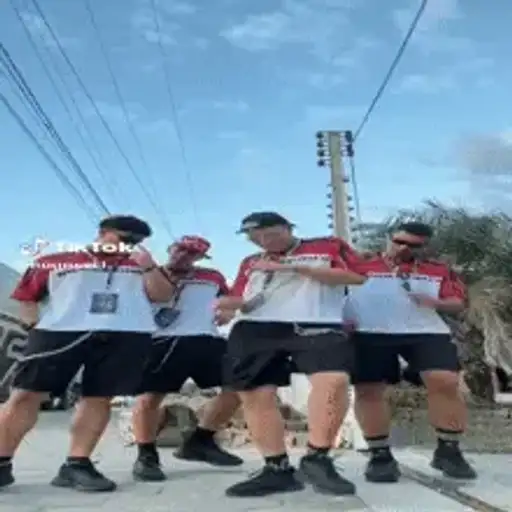 Dançantes Famosos — 4