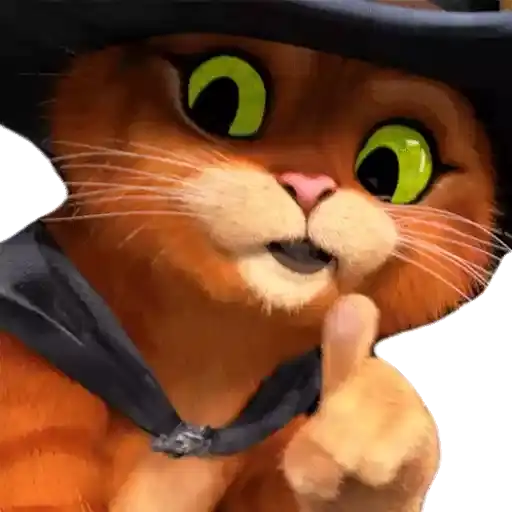 Gatos Engraçados — 2