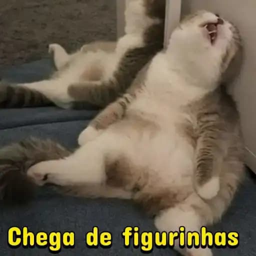Gatos Engraçados — 1