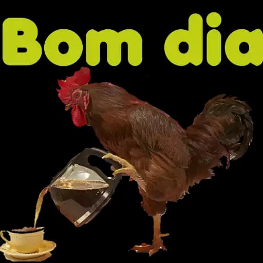 Galos de Bom Dia — 1