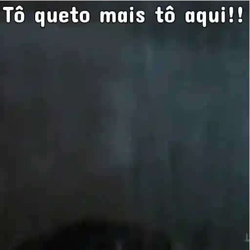Meme de Gatos y Acciones — 4