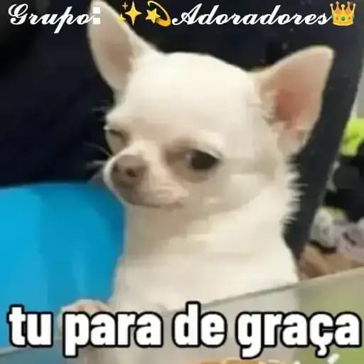 Perritos Divertidos — 3