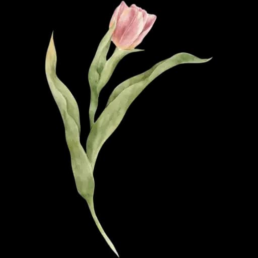 Delicate Flowers — 3