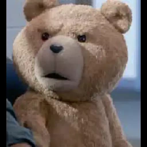 Urso de Paddington Engraçado — 4