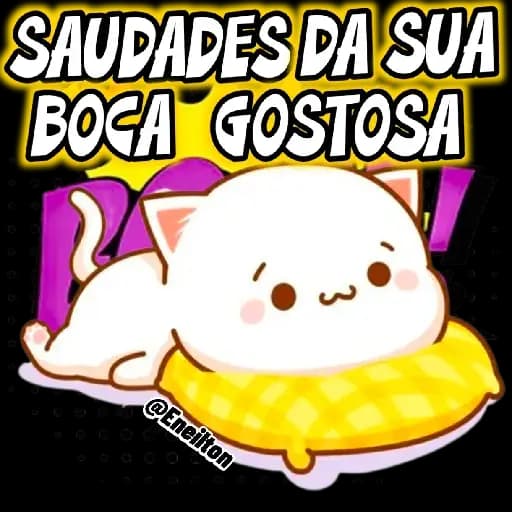 Perros y Gatos Enamorados — 4
