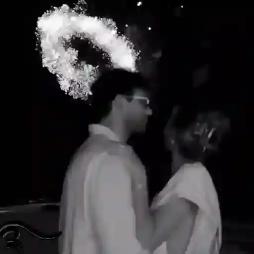 Animated Wedding — 1