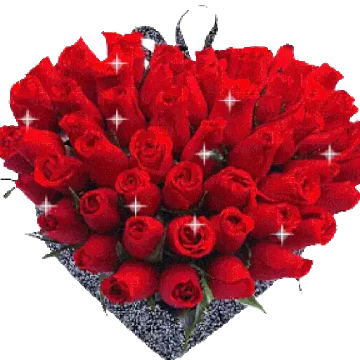 Buquês de Rosas — 2