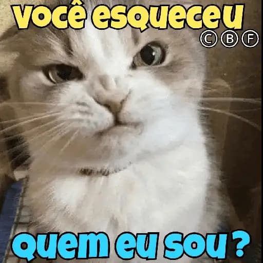 Gatos Divertidos — 1