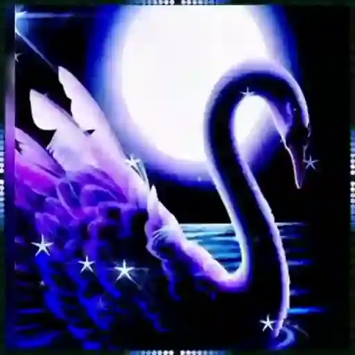 Cisnes Românticos — 3