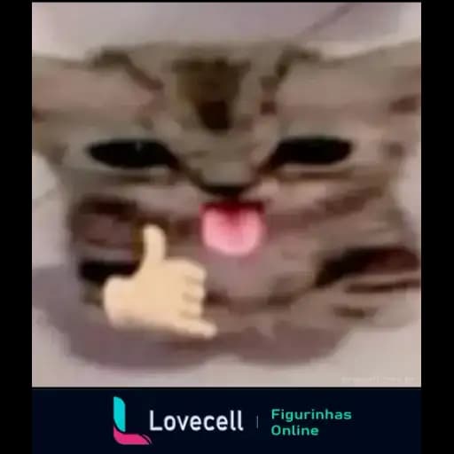 Gatos Engraçados — 4