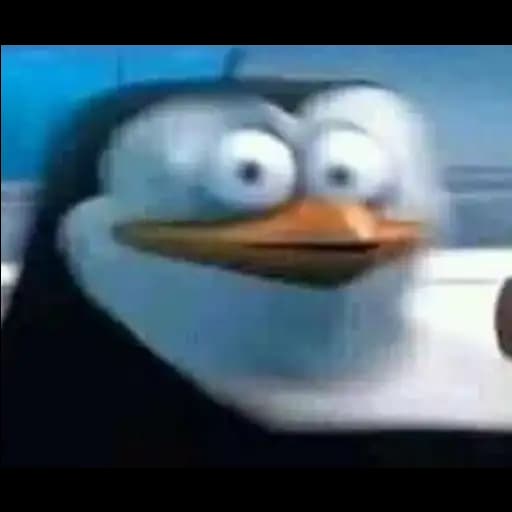 Pingüinos de la Película — 3
