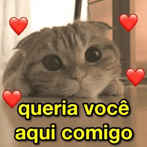 Gatos y Corazones — 1