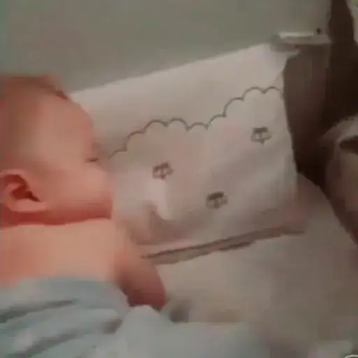 Cute Babies — 1