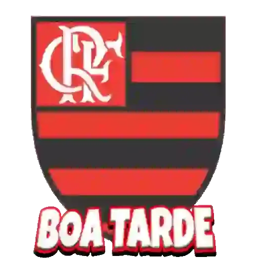 Saludos de Flamengo — 1