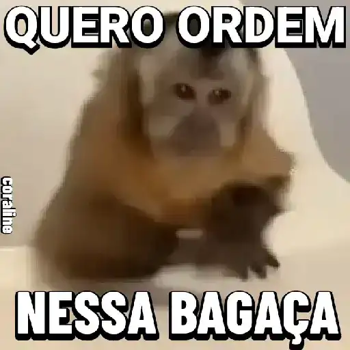 Macaco Exigente — 4