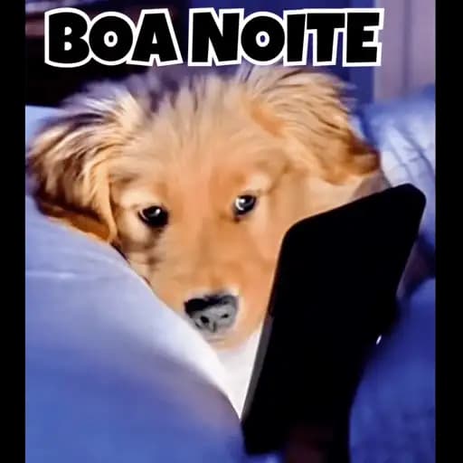 Cachorrinhos Fofos Boa Noite — 3