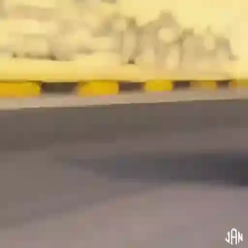 Perritos Tiernos — 4