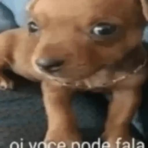 Perro Cachorro Tierno — 2