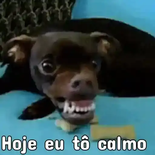Perros Divertidos — 2