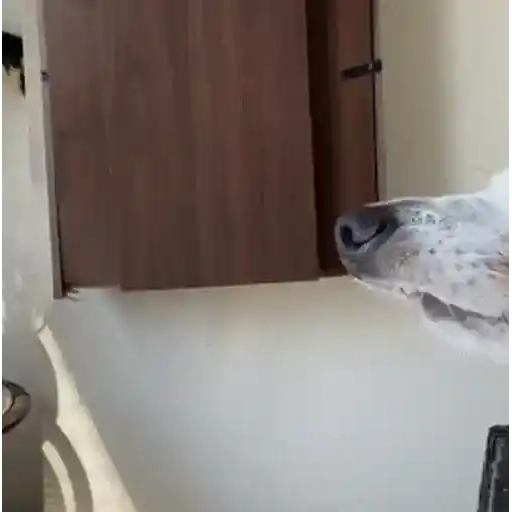 Coleção #125 — 3