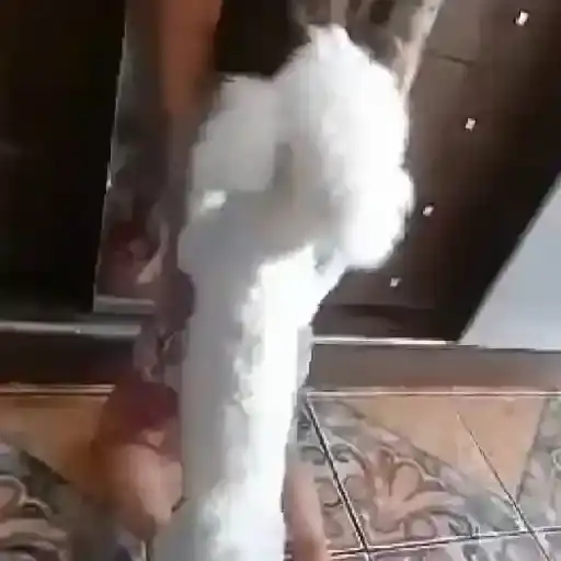 Coleção #139 — 4