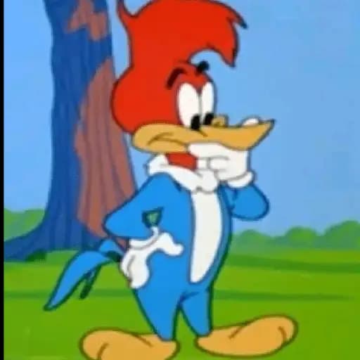 Pájaro Loco Clásico — 1