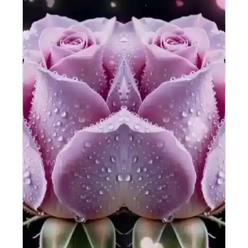 Romantic Roses — 4