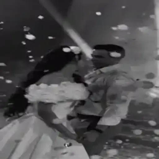 Boda Animada — 4