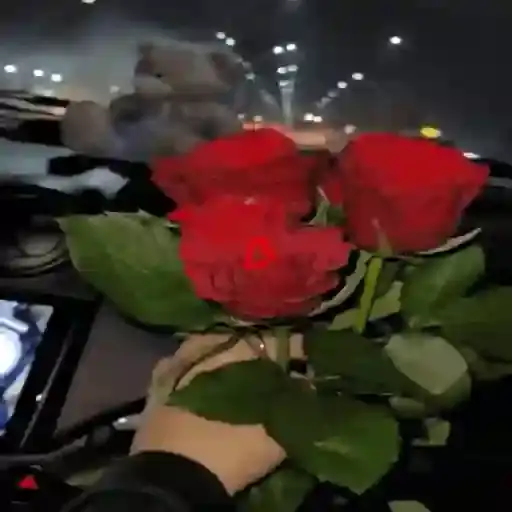 Hombre con Rosa — 4