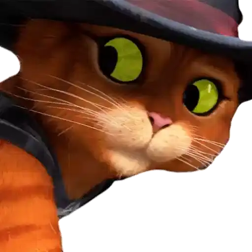 Gatos Engraçados — 3