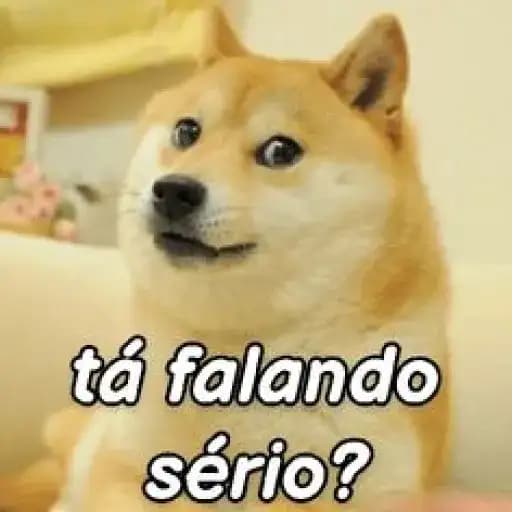 Cachorros Confusos — 3