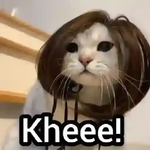 Cats in Disguise — 2