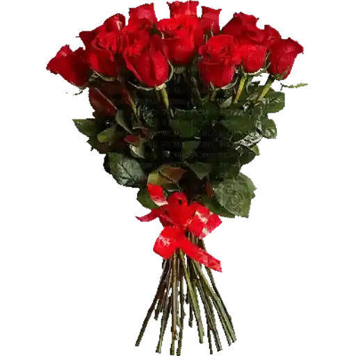 Buquês de Rosas — 1