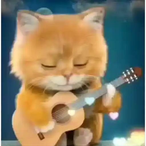 Gatos Engraçados — 4