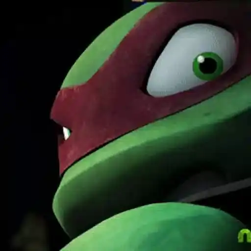 Raphael Ninja Turtles — 1